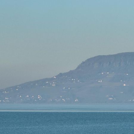 Balaton A Kertben - Balaton In The Garden - Beachfront Houses With Beautiful View, Private Beach بالاتونفينيفيس المظهر الخارجي الصورة