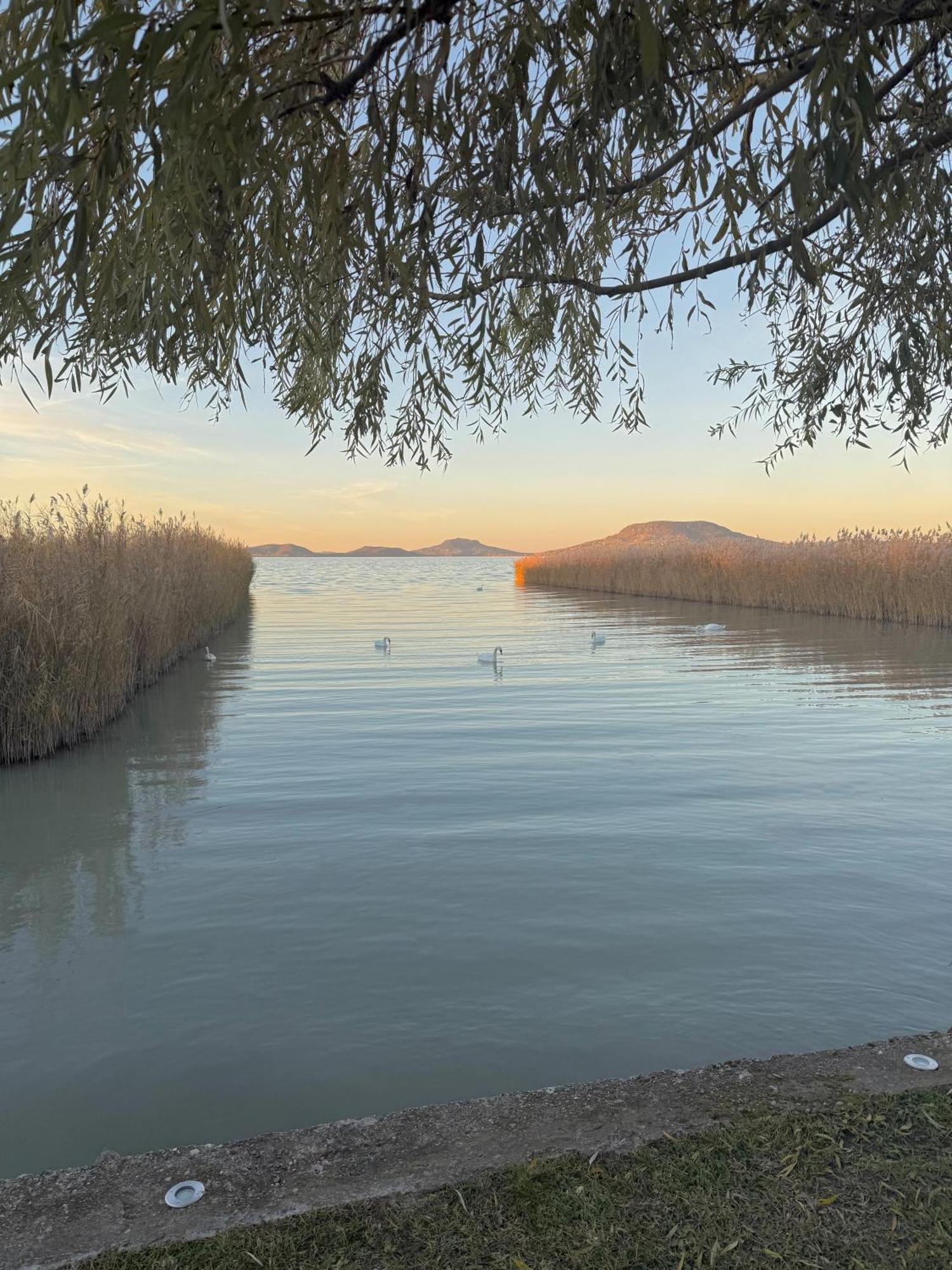 Balaton A Kertben - Balaton In The Garden - Beachfront Houses With Beautiful View, Private Beach بالاتونفينيفيس المظهر الخارجي الصورة